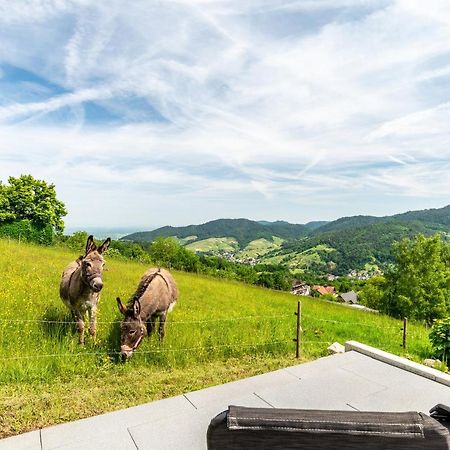 Merzel'S Schone Aussicht Buhlertal Luaran gambar