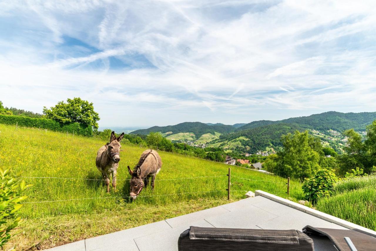 Merzel'S Schone Aussicht Buhlertal Luaran gambar