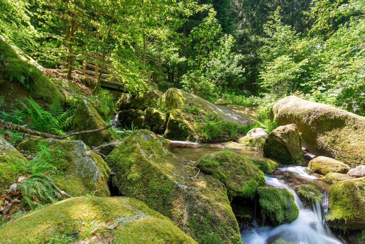 Merzel'S Schone Aussicht Buhlertal Luaran gambar